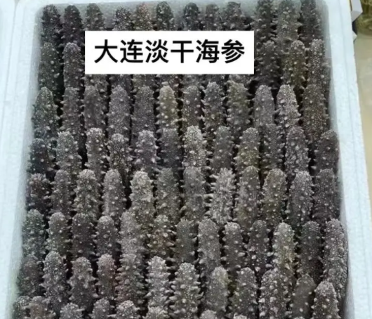 海参的10个有趣冷知识，你真的了解海参吗？